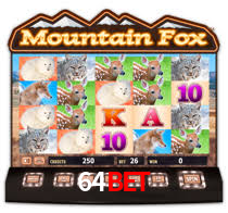 64bet.com